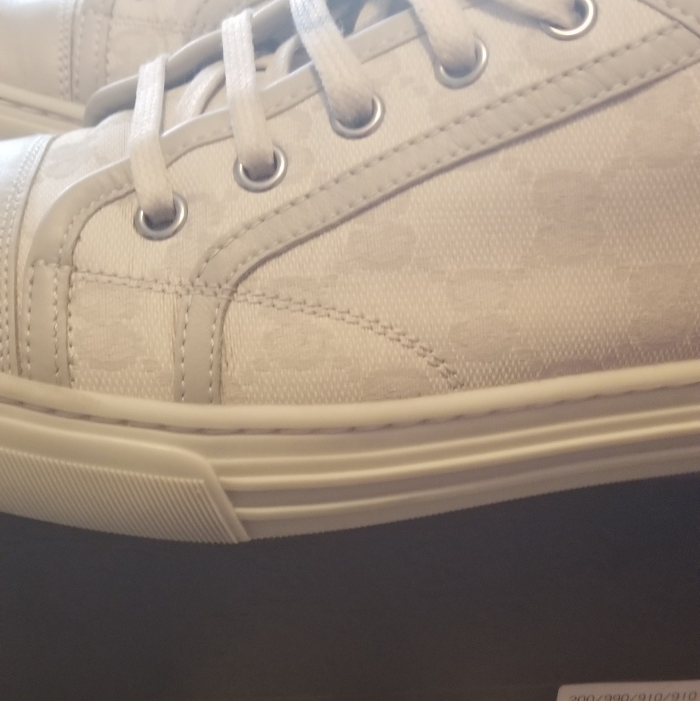 Gucci sneakers